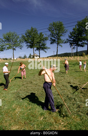 Persone fienagione in un campo, Gruszowiec, Polonia. Foto Stock