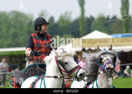 Carri di fuoco team display Foto Stock