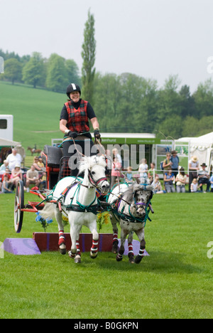 Carri di fuoco Team Display Foto Stock