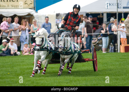 Carri di fuoco Team Display Foto Stock