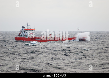 Betty Theresa prodotto e chimichiera su grigio wintery Mar Baltico Foto Stock