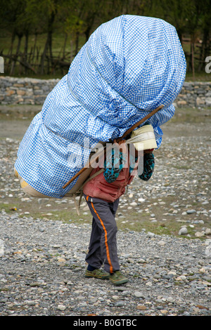 I facchini che trasportano carichi pesanti sul loro retro annapurna nepal Foto Stock