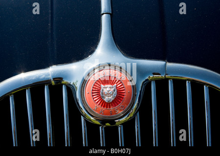 Jaguar XK 150 anteriore badge del radiatore Foto Stock