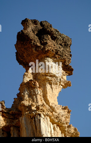 Erosi pilastro con incappucciamento dura terra foresta Yuanmou Yunnan in Cina Foto Stock