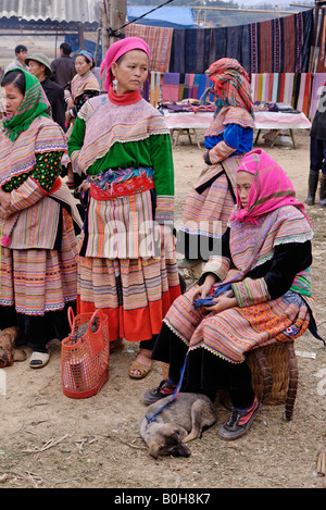 Flower Hmong, Mong, o Miao donne e bambini in abito tradizionale a un mercato di bestiame, Ha Giang Provincia del Vietnam del Nord Foto Stock