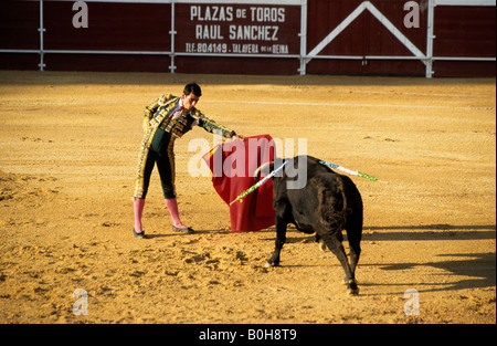 Torero tenendo il suo mantello rosso nella parte anteriore di un insanguinato black bull durante una Corrida nella Plaza de Toros von Calpe Bullring, Foto Stock