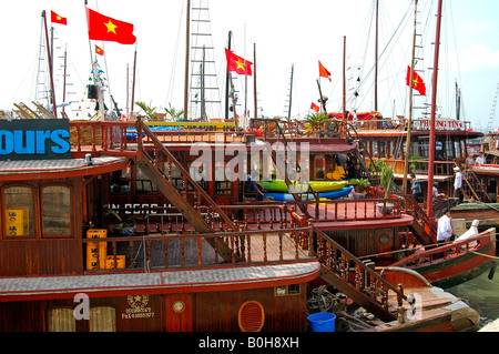 Tradizionale giunche vietnamita, barche nel porto di Baia di Halong, Vietnam, sud-est asiatico Foto Stock