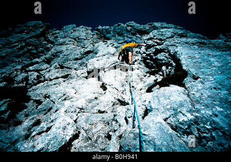 L'alpinista quasi in corrispondenza del picco, raggiungendo la vetta, gamma Karwendel, Tirolo, Austria, Europa Foto Stock