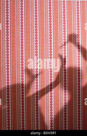 Ombra su sfondo, lotta contro persone, scena violenta, accoltellato Foto Stock