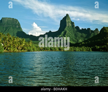 Cuoco o Paopao Bay, Mt. Mouaroa, Moorea, Isole della Società, Polinesia francese, South Pacific Oceania Foto Stock