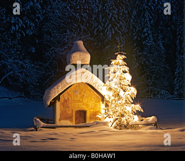 Cappella vicino Elmau, crepuscolo, coperta di neve paesaggio invernale, albero di Natale, Alta Baviera, Baviera, Germania Foto Stock