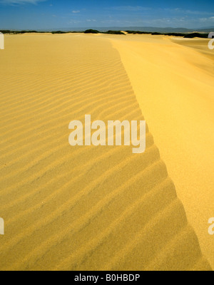 Le dune di sabbia vicino al Coro, Falcon, Venezuela, Sud America Foto Stock