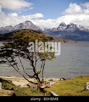 Ushuaia, la città più meridionale in Argentina, vista sul Canale di Beagle verso le Ande cilene, Tierra del Fuego National Park, il tirante Foto Stock