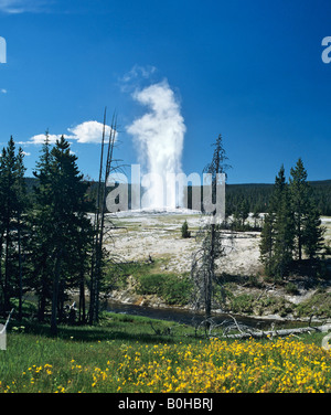 Geyser Old Faithful, il Parco Nazionale di Yellowstone, montagne rocciose, Wyoming USA Foto Stock