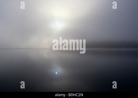 Early Morning mist oltre il lago Schluchsee in inverno, Hochschwarzwald, Superiore della Foresta Nera, Baden-Wuerttemberg, Germania, Europa Foto Stock