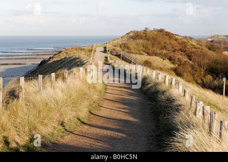 Il percorso che conduce attraverso dune di sabbia coperte di erba vicino a Zoutelande, Walcheren, Zeeland, Paesi Bassi Foto Stock