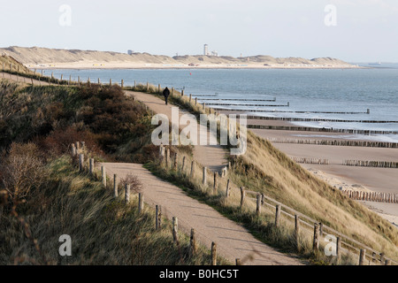 Il percorso che conduce attraverso dune di sabbia coperte di erba vicino a Zoutelande, Walcheren, Zeeland, Paesi Bassi Foto Stock