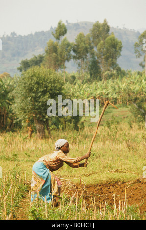 Una donna che lavora in un campo con una zappa, Kisovo, Uganda. Foto Stock