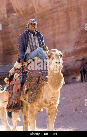 Uomo beduino a dorso di un cammello, Petra, Giordania, Medio Oriente Foto Stock