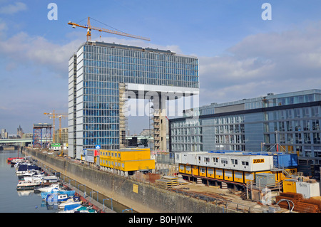 Kranhaus 1 ufficio tower edificio sito accanto al porto Rheinauhafen a Colonia, nella Renania settentrionale-Vestfalia, Germania, Europa Foto Stock