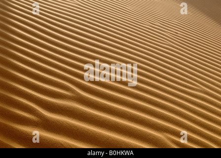 Ripples, dune di sabbia nel deserto, Tin Akachaker, Tassili du Hoggar, Wilaya Tamanrasset, Algeria, Africa Settentrionale, Africa Foto Stock