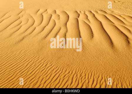 Ripples, dune di sabbia nel deserto, Tin Akachaker, Tassili du Hoggar, Wilaya Tamanrasset, Algeria, Africa Settentrionale, Africa Foto Stock