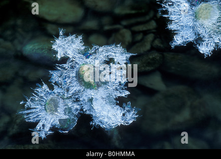 Insolito cristallo di ghiaccio formazioni realizzate in ciottoli di fiume Verzasca, Ticino, Svizzera Foto Stock