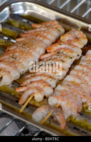 Scampi e Gamberetti su un barbecue Foto Stock