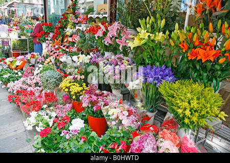 La Rambla de las Flores del mercato La Boqueria Barcellona Catalonia Spagna Foto Stock