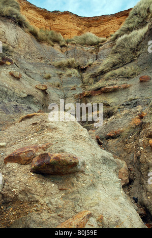 Scogliera costiera erosione a testa Hengistbury vicino Mudeford nel Dorset England Regno Unito gran bretagna costa inglese Foto Stock