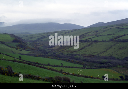 Terreni agricoli nella contea di Antrim, Irlanda del Nord. Foto Stock