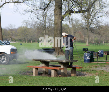 Un parco di potenza dipendente lavaggio parco un tavolo da picnic. Foto Stock