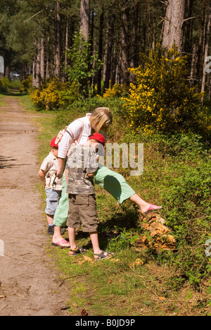 Madre e bambini guardando sotto un log per Creepy imperfezioni a Thetford Forest,Norfolk, Regno Unito Foto Stock