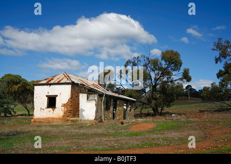 Le rovine di una vecchia casa colonica in un paesaggio australiano di campo o paddock Foto Stock