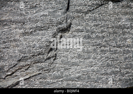 Uno dei migliaia di pietre con incisa la sacra il Tibetano script che adornano i sentieri che conducono fino al palazzo del Potala a Lhasa. Foto Stock