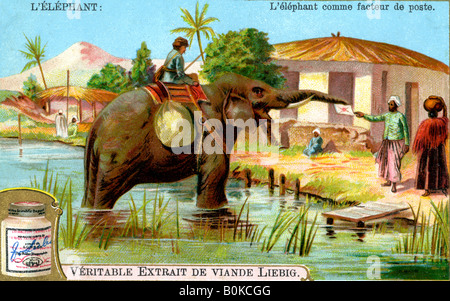 L'elefante come postino, c1900. Artista: sconosciuto Foto Stock