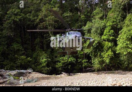 Elicottero militare si libra in compensazione in Ulu Temburong Parco Nazionale di Brunei Foto Stock