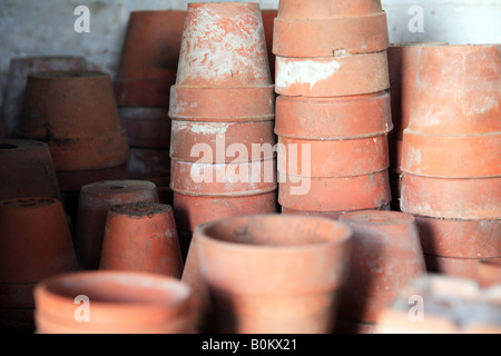 Impianto di terracotta bicchieri impilati in Potting Shed. Vecchio e polveroso. Foto Stock