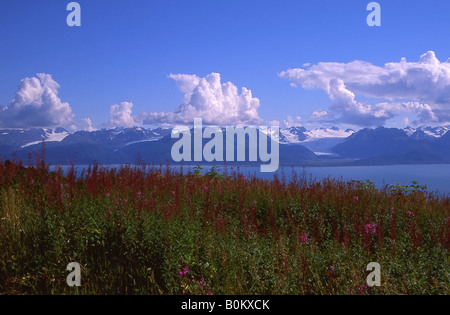 Una vista del Kenai Mountains come si vede attraverso Kachemak Bay da Homer Alaska. Foto Stock