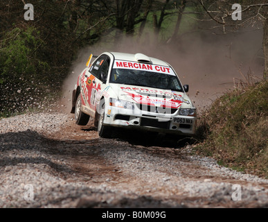 Rally Cars effettuando al Somerset Satges Rally, 2008 Foto Stock