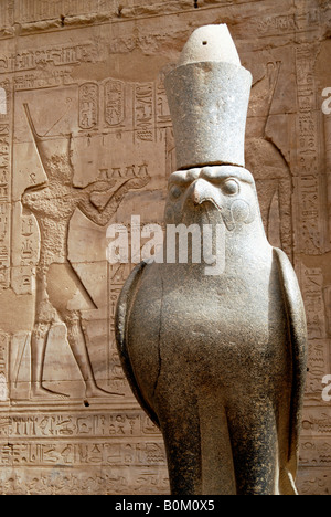 Una statua del falco Horus intestata al Tempio di Horus Edfu Egitto Foto Stock