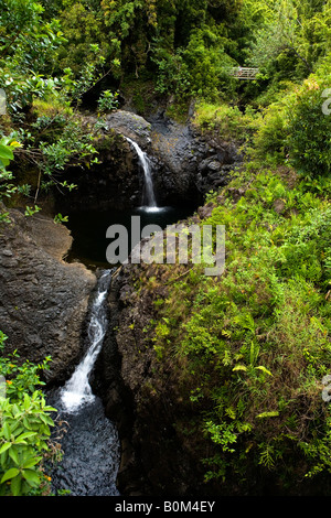 Tiered cascate lungo un escursionismo trial su Maui vicino al 7 Piscine sacra che conduce fino alle foreste di bambù. Foto Stock