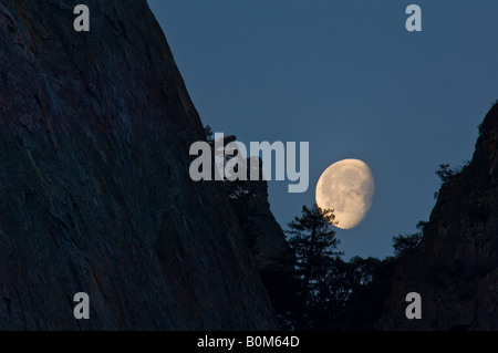 Gibbous calante luna impostazione dietro la scogliera di montagna del Parco Nazionale Yosemite in California Foto Stock