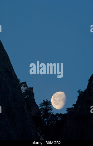 Gibbous calante luna impostazione dietro la scogliera di montagna del Parco Nazionale Yosemite in California Foto Stock