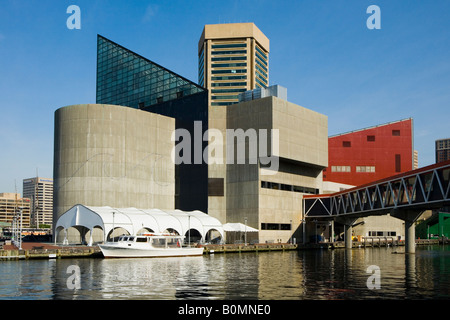 Il National Aquarium di Baltimora presso il porto interno con il World Trade Center dietro Foto Stock