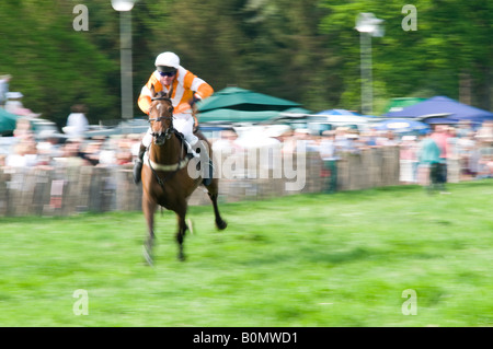 Orange Point-to-point ! Foto Stock