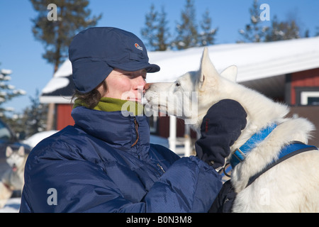 Una donna e un husky, naso a naso in Lapponia winterly / Svezia settentrionale Foto Stock