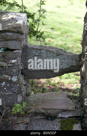 Stile stone gap in una parete di pietra entrata a un campo Foto Stock