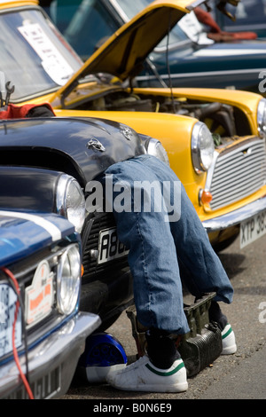Linea minis in alto lungo il lungomare di Brighton dopo il XXIII Incontro annuale Londra a Brighton Mini run. 18 maggio 2008. Foto Stock