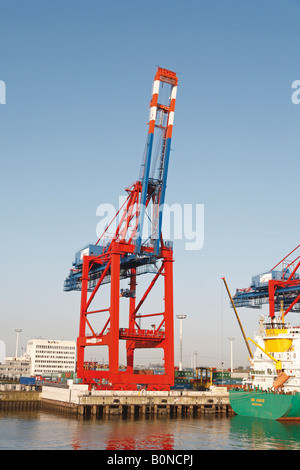 Gru di carico al Eurogate container terminal, città portuale di Amburgo, Germania Foto Stock